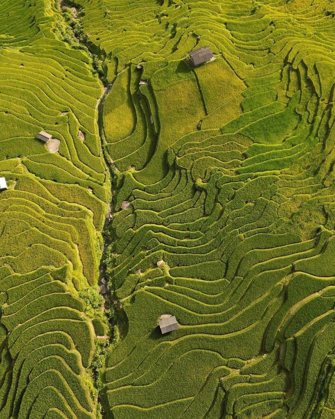 1-Day Sapa Trekking Tour to Cat Cat, San Sa Ho, Y Linh Ho Mong, Lao Chai San & Ta Van